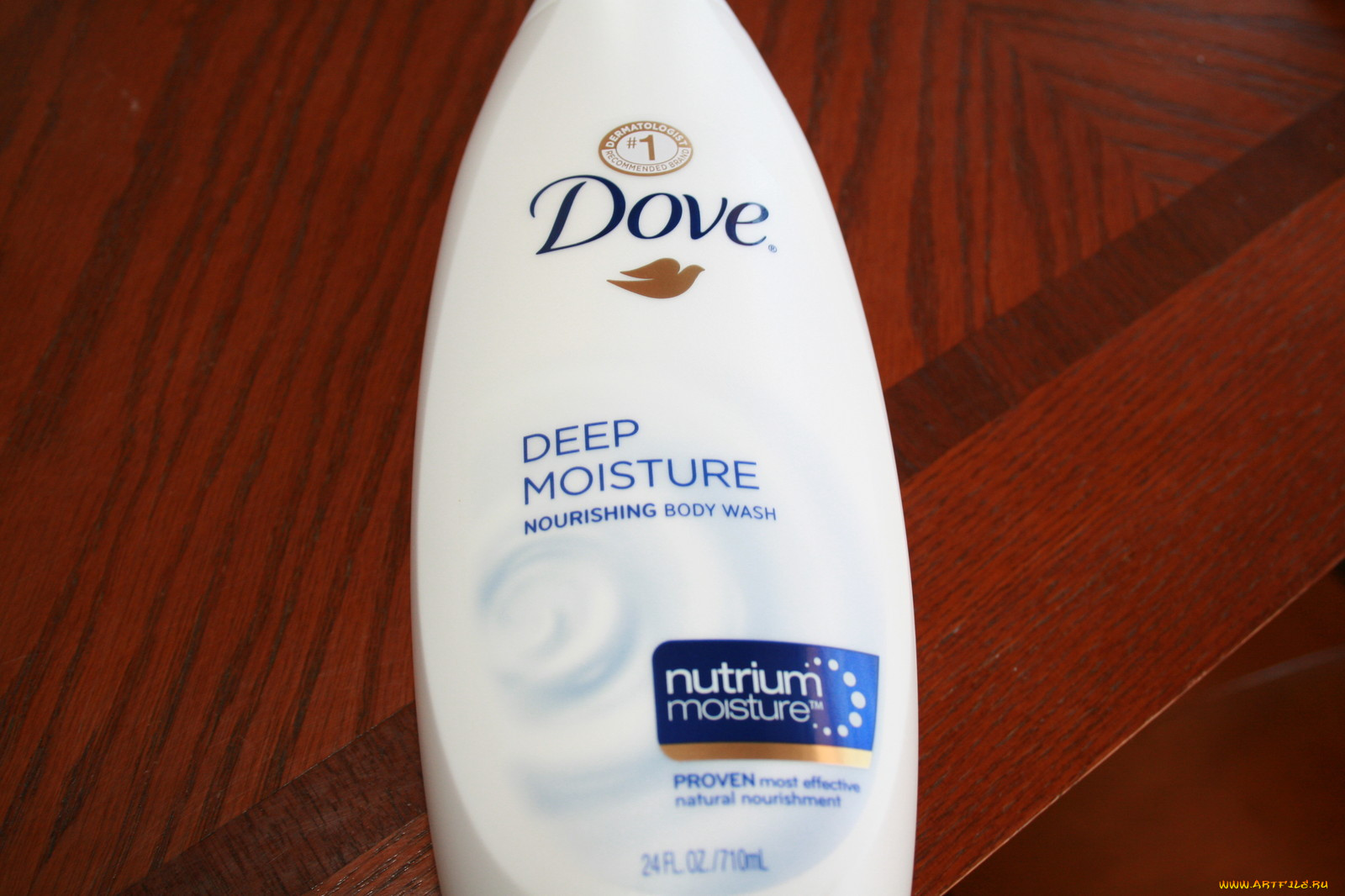 , dove, 